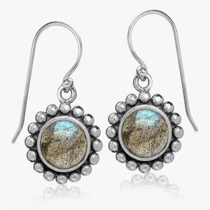 Labradorite Drop Dangle Silver Earrings - NWT